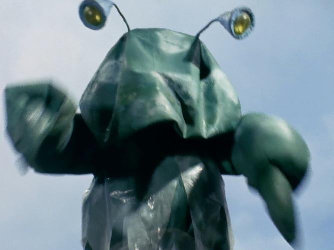 圆盘生物布纽